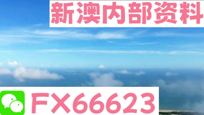 新澳內部資料免費精準37b|立刻釋義解釋落實,新澳內部資料免費精準37b，立刻釋義解釋落實的重要性