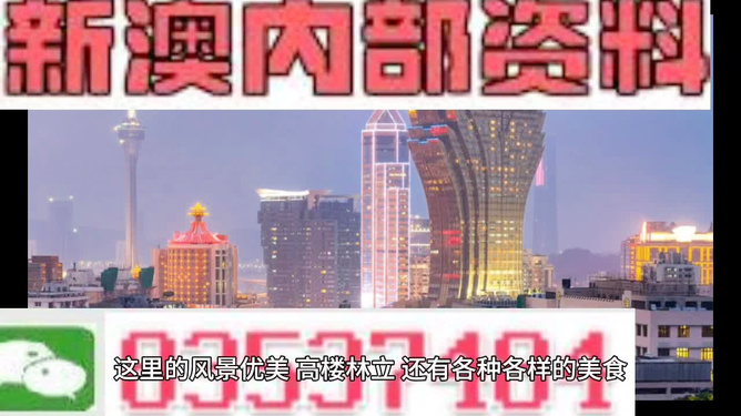 澳門與香港;-2025年管家婆100%精準(zhǔn)的全面釋義與展望,澳門與香港，2025年管家婆100%精準(zhǔn)的全面釋義與展望